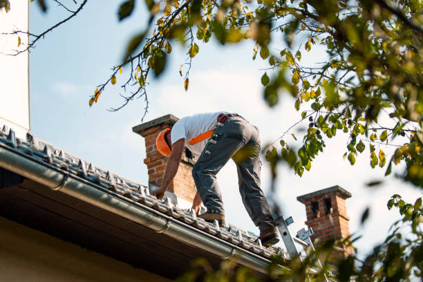 Quick and Trustworthy Emergency Roof Repair Services in Alhambra, CA